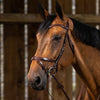 New English X-Fit Anatomic Bridle - Brown