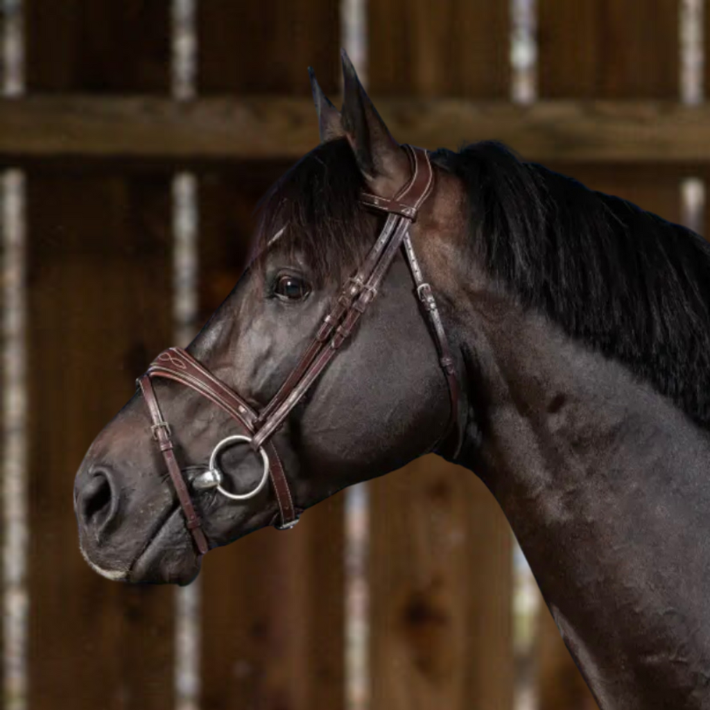 Jump In Combination Noseband Tuesday Mahogany main image 0