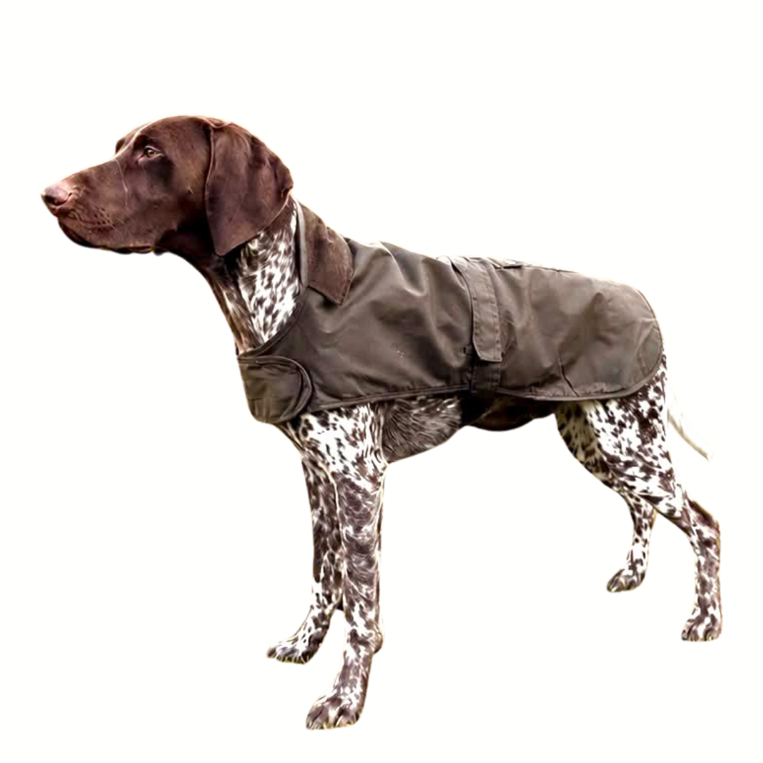 2 in 1 Wax Dog Coat - Olive