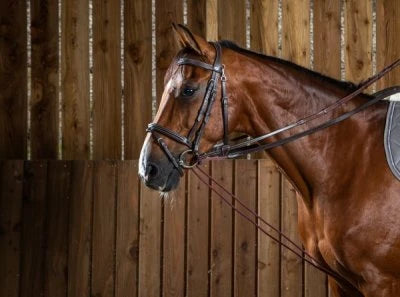 Working Leather/Nylon Draw Reins 5/8" - Brown