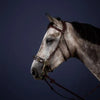 New English Hackamore Bridle - Brown