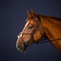 New English Figure 8 Noseband Bridle - Black