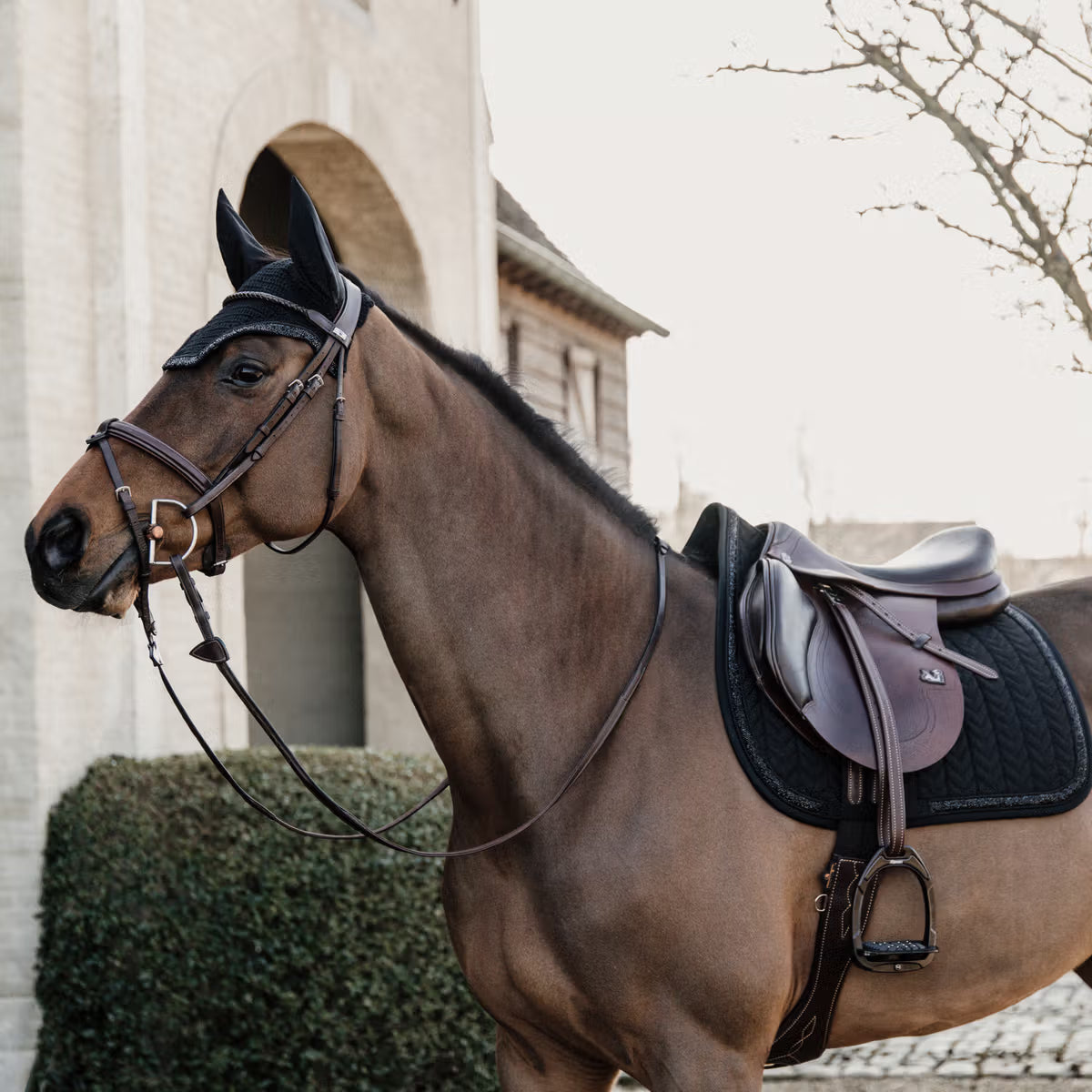 Jump Saddle Pad Glitter Stone - Black