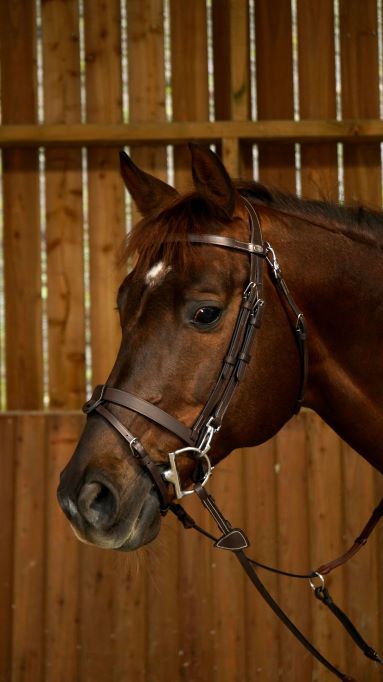 Working Flat Leather Bridle with Snap Hooks - Brown