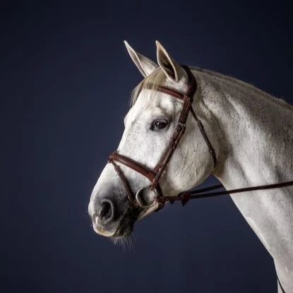 New English Flash Noseband Bridle - Brown