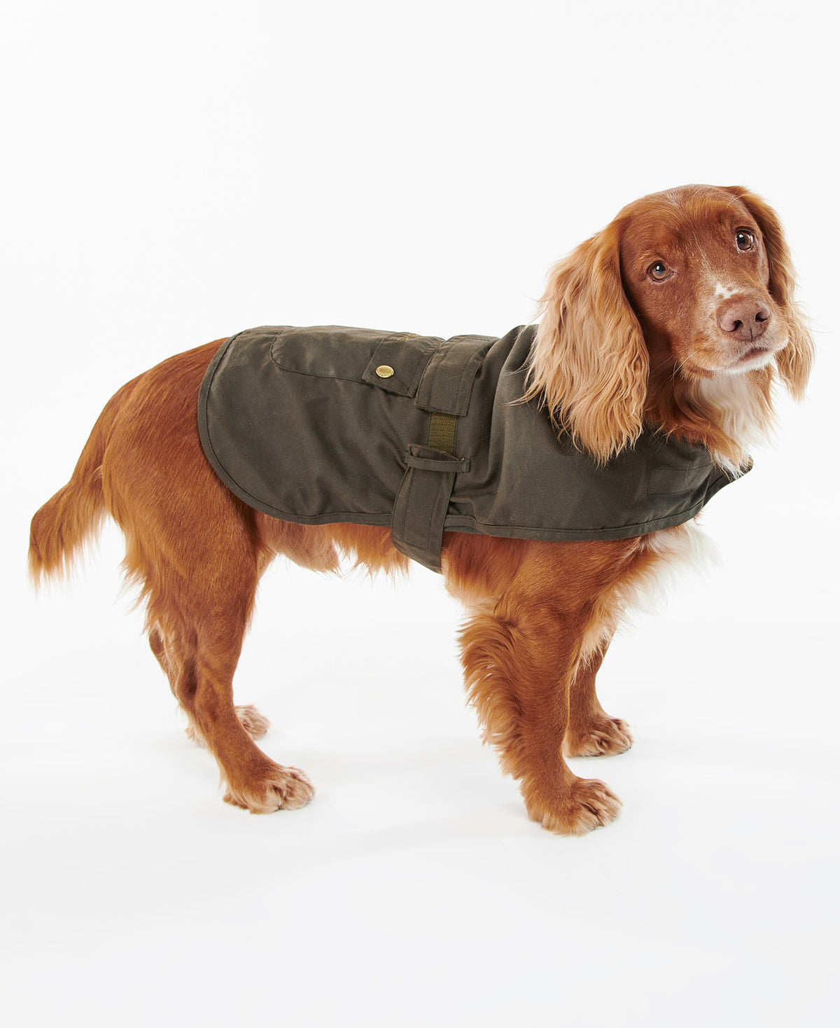2 in 1 Wax Dog Coat - Olive