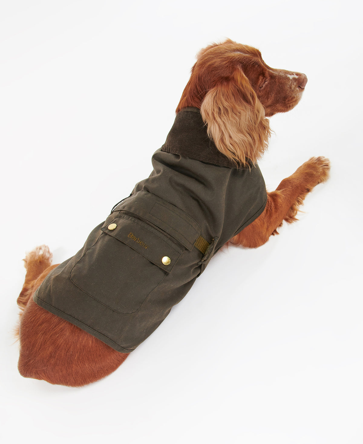 2 in 1 Wax Dog Coat - Olive