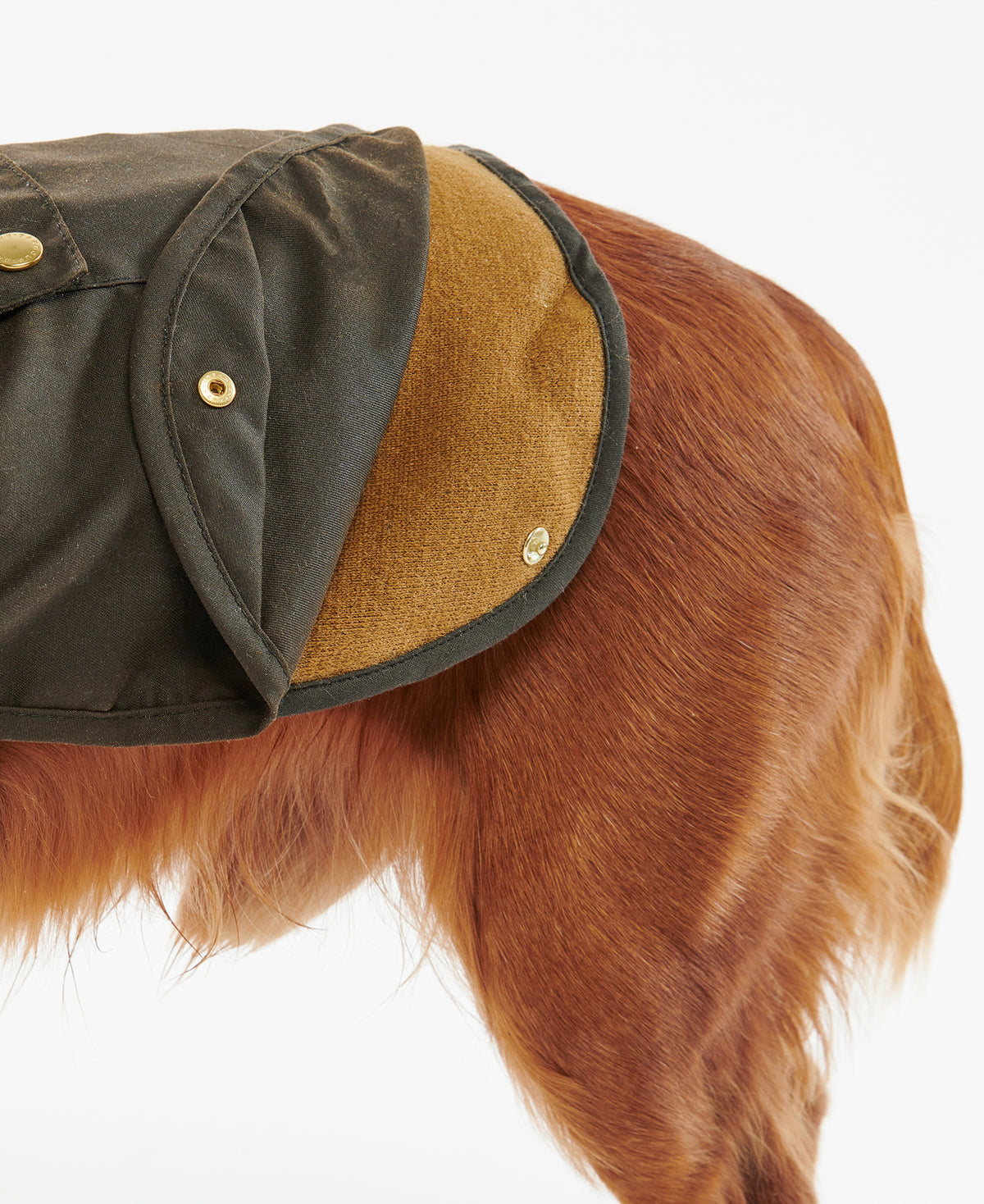 2 in 1 Wax Dog Coat - Olive