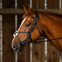 New English Figure 8 Noseband Bridle - Black