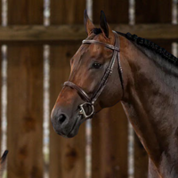 US Hunter Cavesson Noseband Bridle - Brown