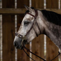 New English Hackamore Bridle - Brown