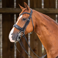 Working Matte Large Crank Noseband Double Bridle - Black