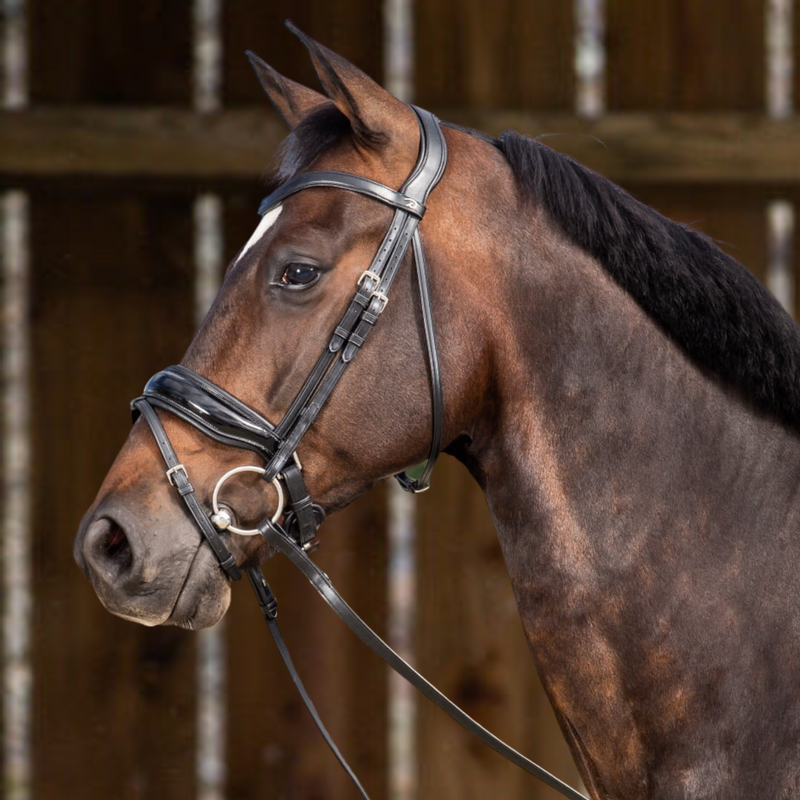 Working Patent Large Crank Noseband Bridle with Flash - Black