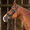 Working Patent Large Crank Noseband Double Bridle - Black