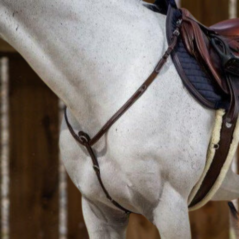 US Jumping Hunter Breastplate - Brown
