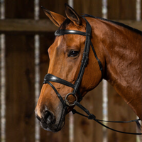 New English Anatomic Flash Noseband Bridle - Black