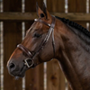 US Hunter Wide Noseband Hunter Bridle - Brown