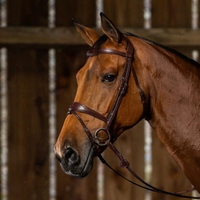 New English Anatomic Flash Noseband Bridle - Brown