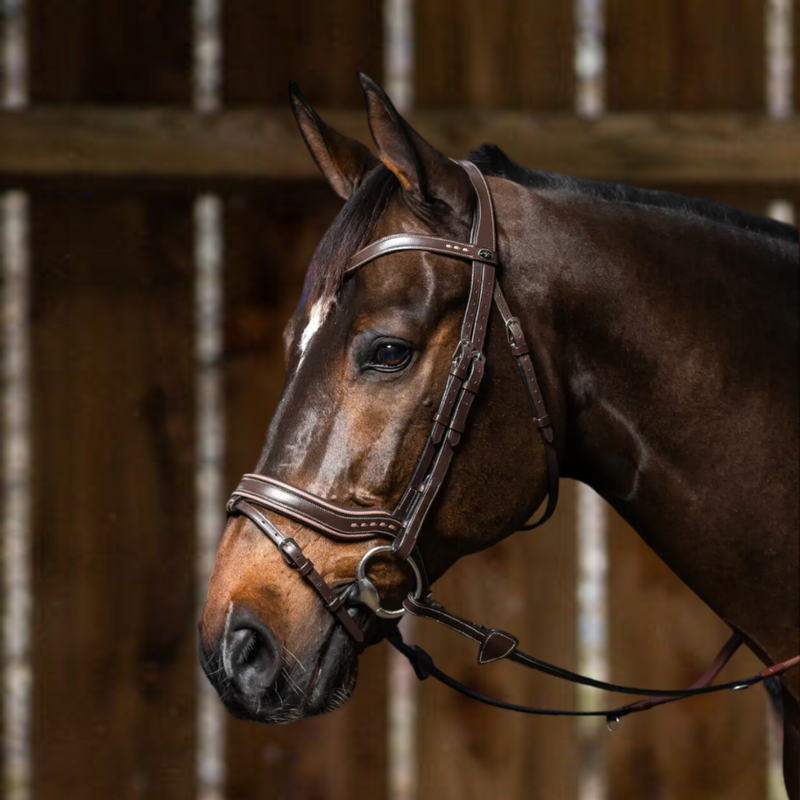 Working Fit Bridle - Brown