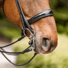 Dynamic RS Loose Ring Double Join Bradoon 14mm