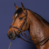 D Collection D Motion Bridle - Brown Cob