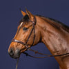 D Collection D Motion Bridle - Brown Cob