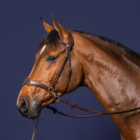 D Collection D Motion Bridle - Brown Cob