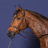 D Collection D Motion Bridle - Brown Cob