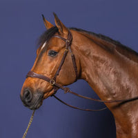 D Collection D Motion Bridle - Brown Cob