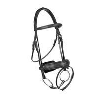 French Noseband Bridle