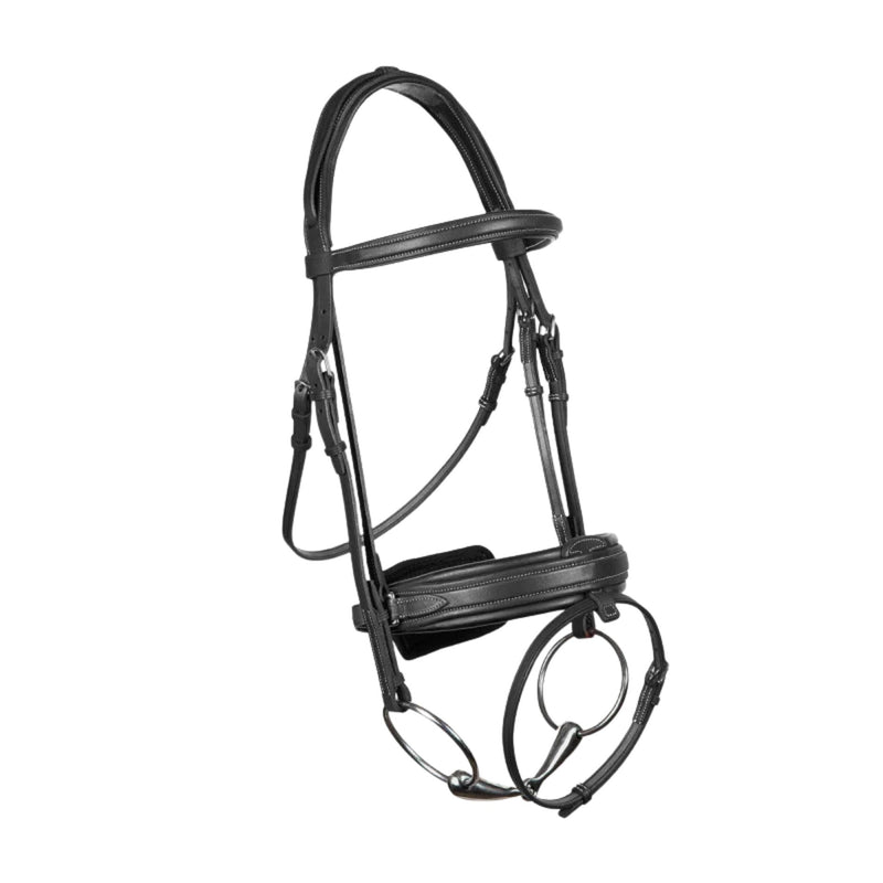 French Noseband Bridle