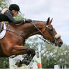 Kombi Hackamore with Noseband