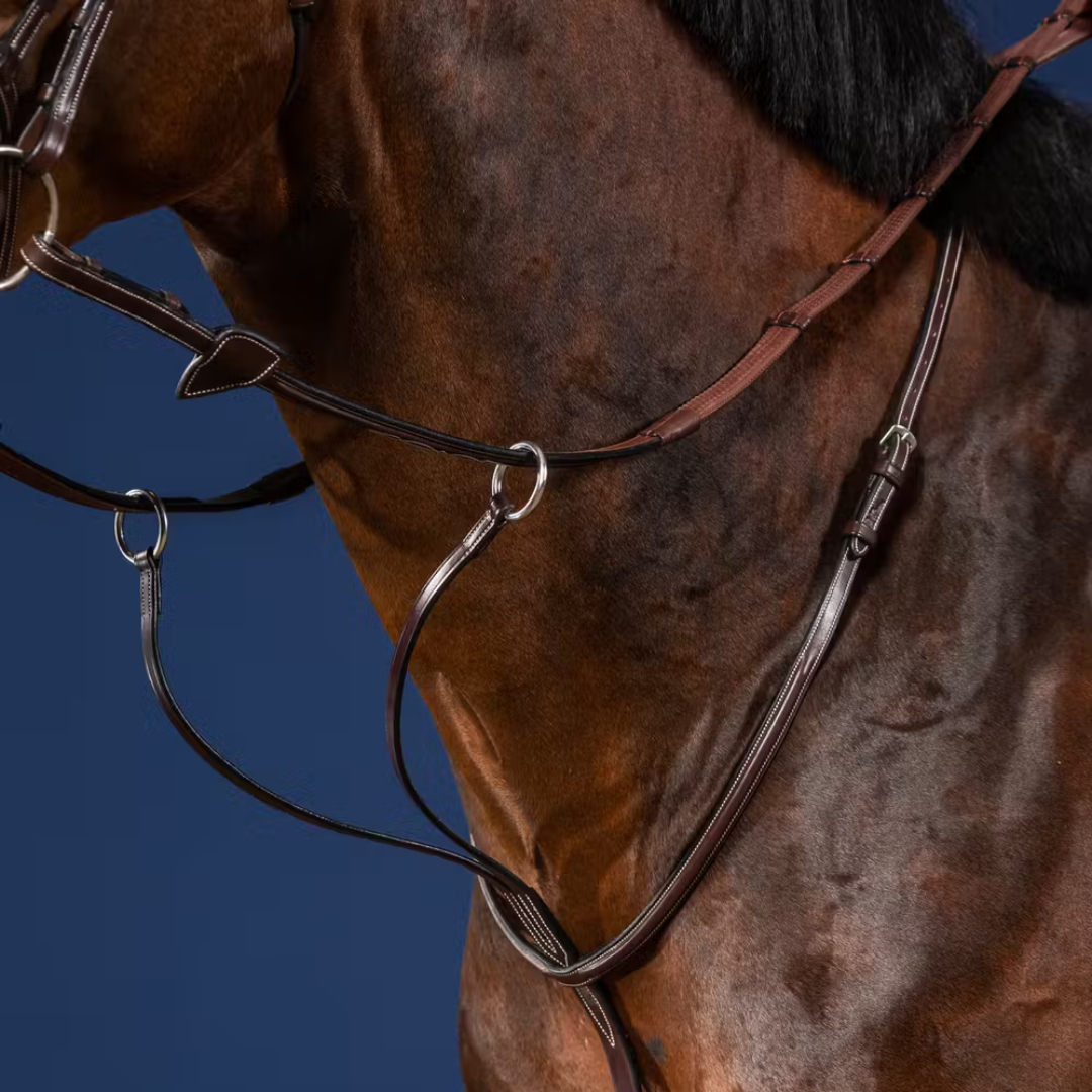 US Jumping Running Martingale - Brown