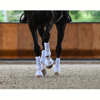 Absolute Elastic Rear Boot - White