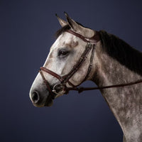 Difference Bridle
