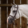 Hunter Anatomic Flash Noseband Bridle - Brown