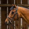 Working Flash Noseband Bridle - Brown