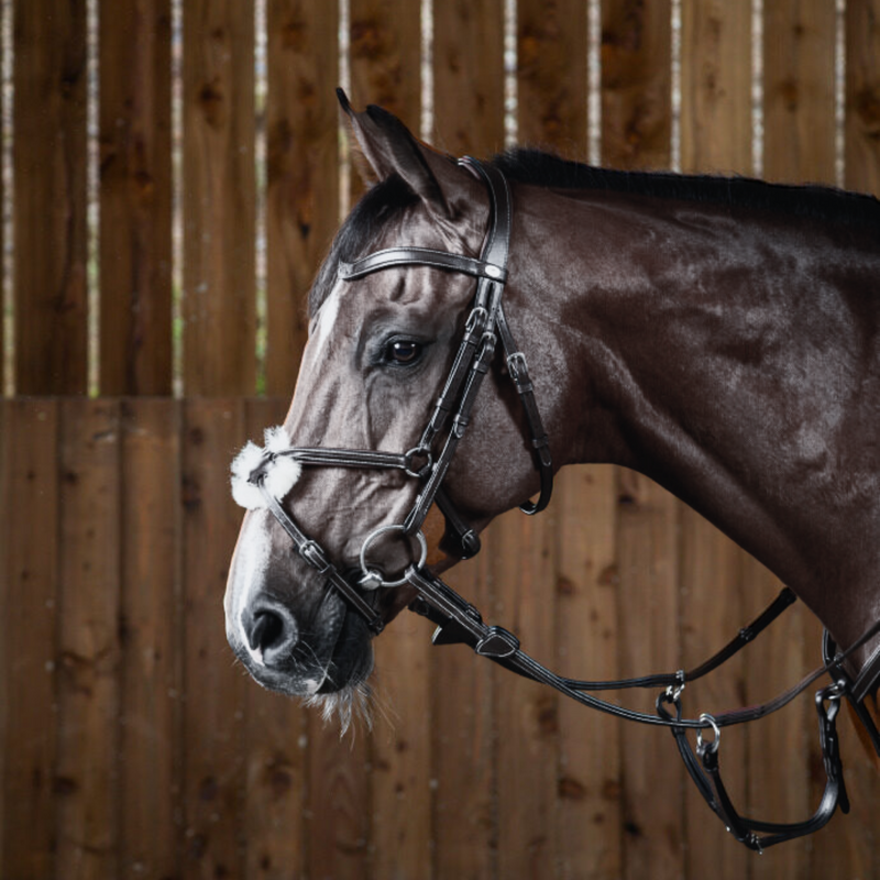 Working Figure 8 Noseband Bridle - Black