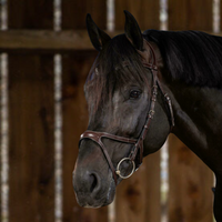 US Jumping X-Fit Bridle - Brown