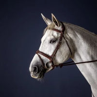 New English Flash Noseband Bridle - Brown