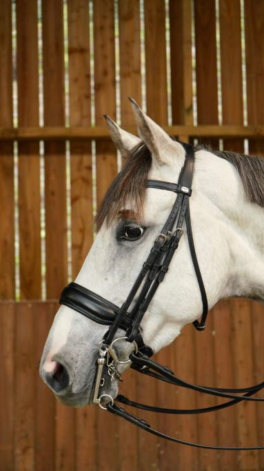 Working Matte Large Crank Noseband Double Bridle - Black Full