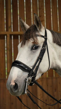 Working Patent Large Crank Noseband Double Bridle - Black