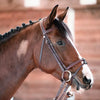 Chiberta Bridle