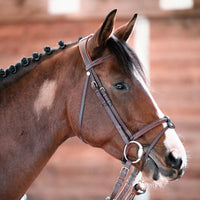Chiberta Bridle