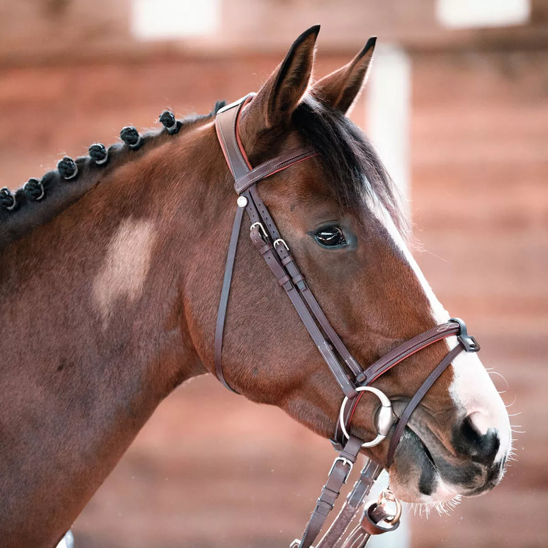 Chiberta Bridle