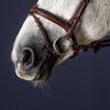 New English Flash Noseband - Brown