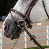 US Jumping Hunter Flash Noseband - Brown