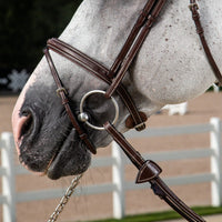 US Jumping Hunter Flash Noseband - Brown