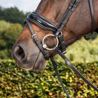 New English Patent Large Crank Noseband with Flash - Black