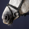 New English Flash Noseband - Black